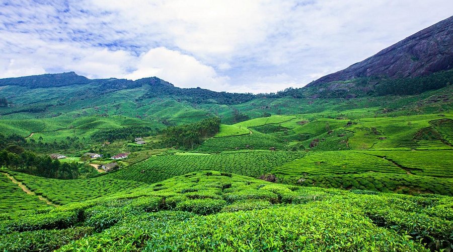Kerala